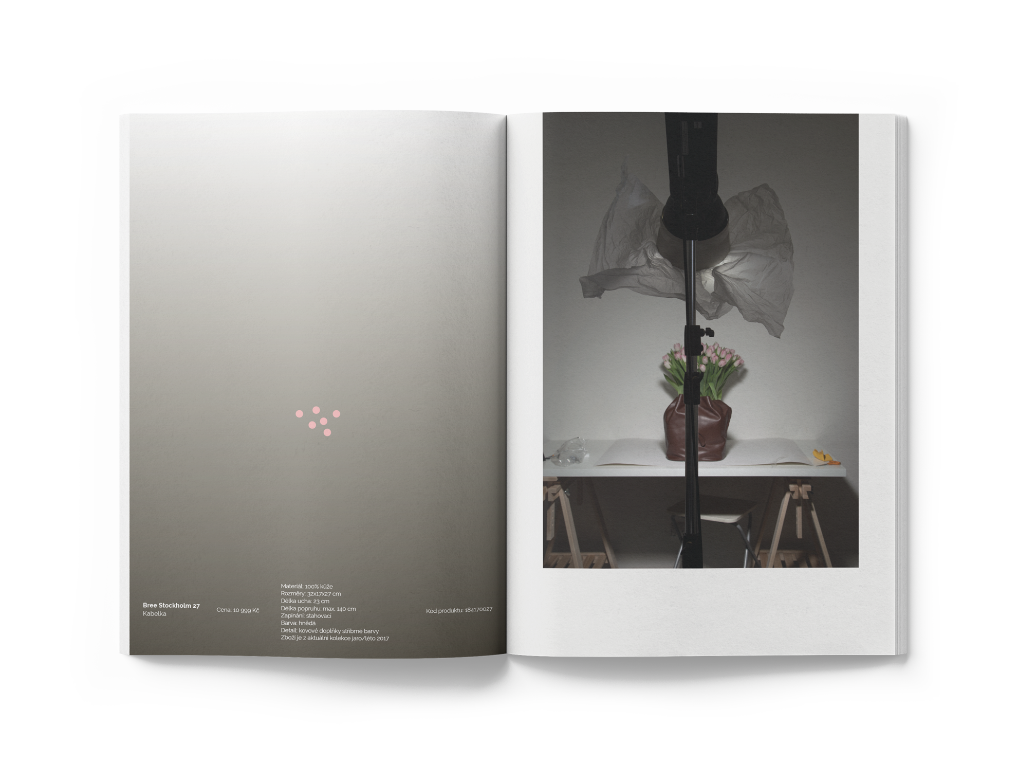 Magdalena Feikusová