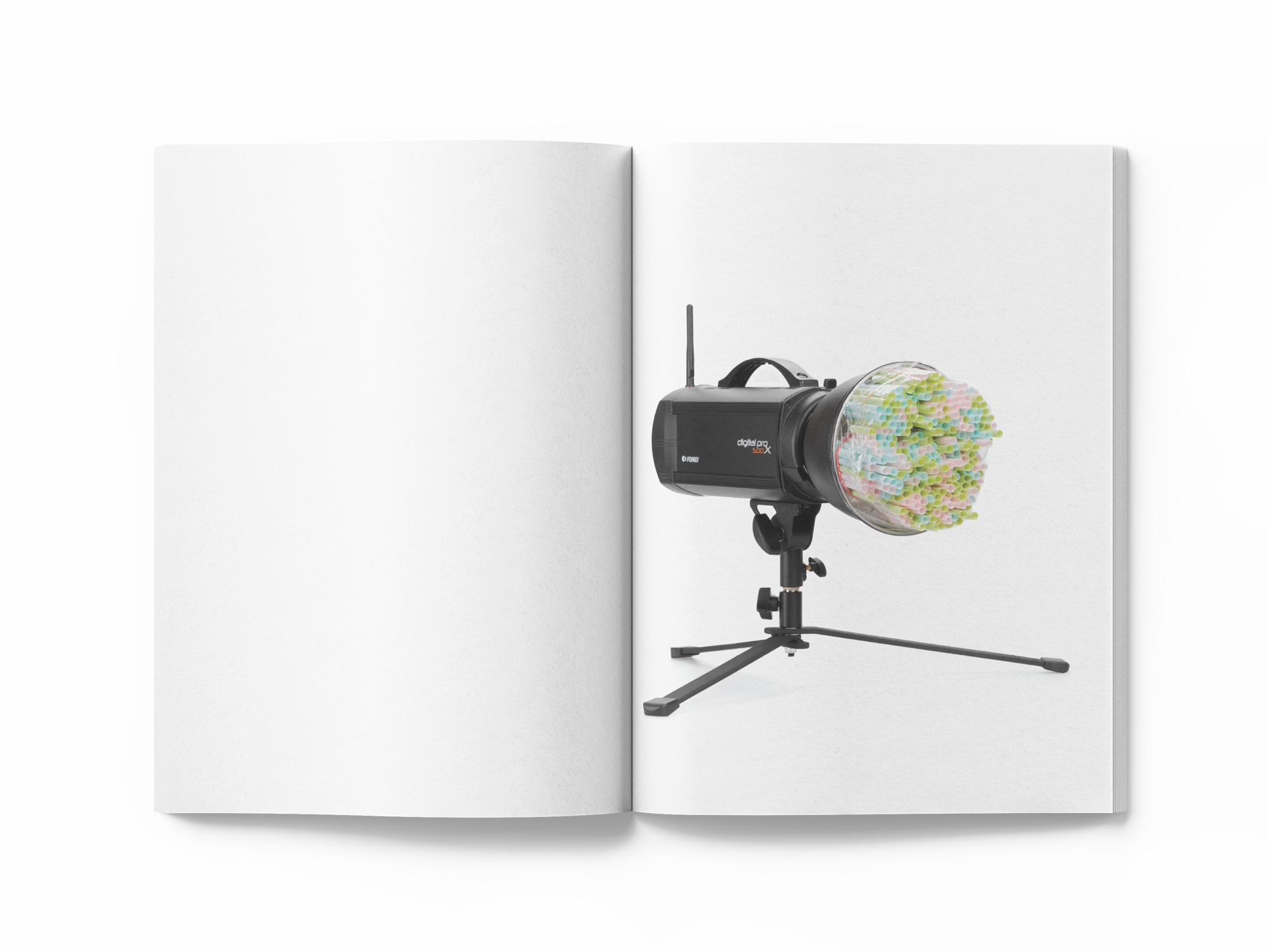 Magdalena Feikusová