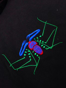 Magdalena Feikusová