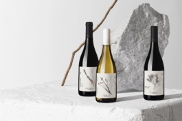 Magdalena Feikusová