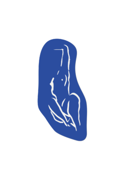 Magdalena Feikusová