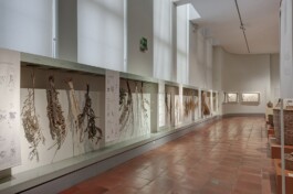 Magdalena Feikusová