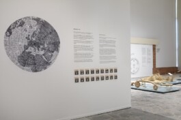 Magdalena Feikusová