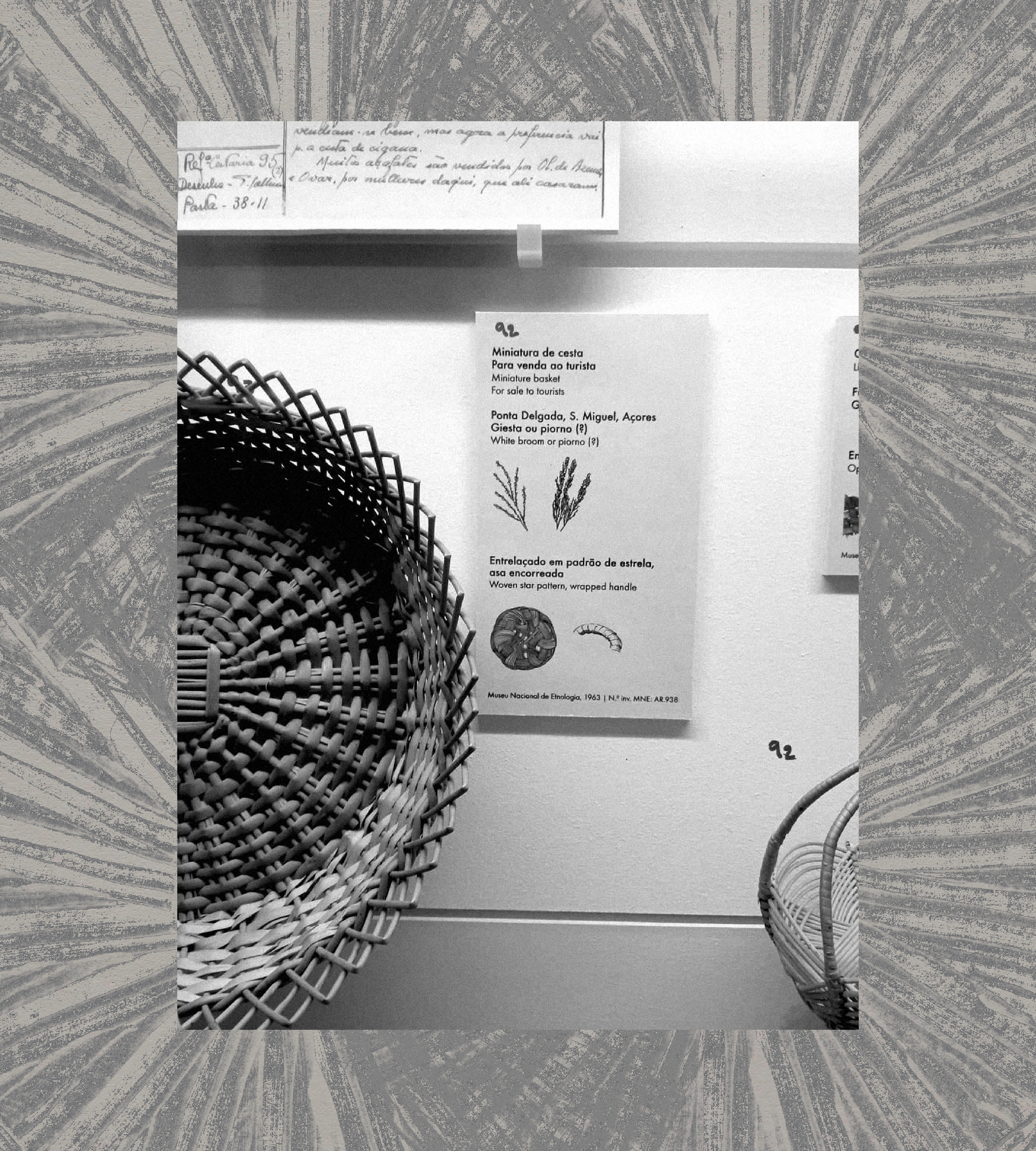 Magdalena Feikusová