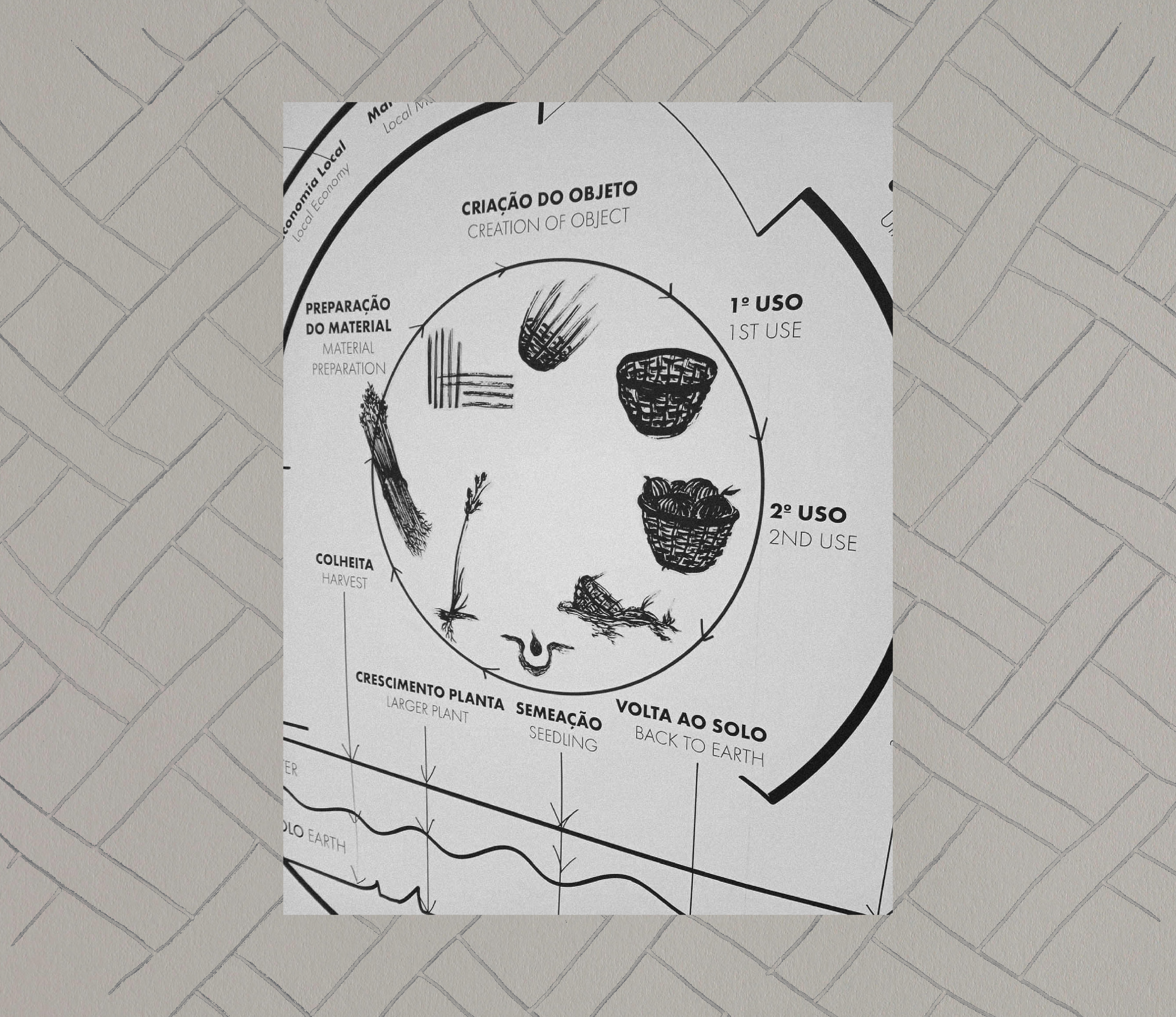 Magdalena Feikusová