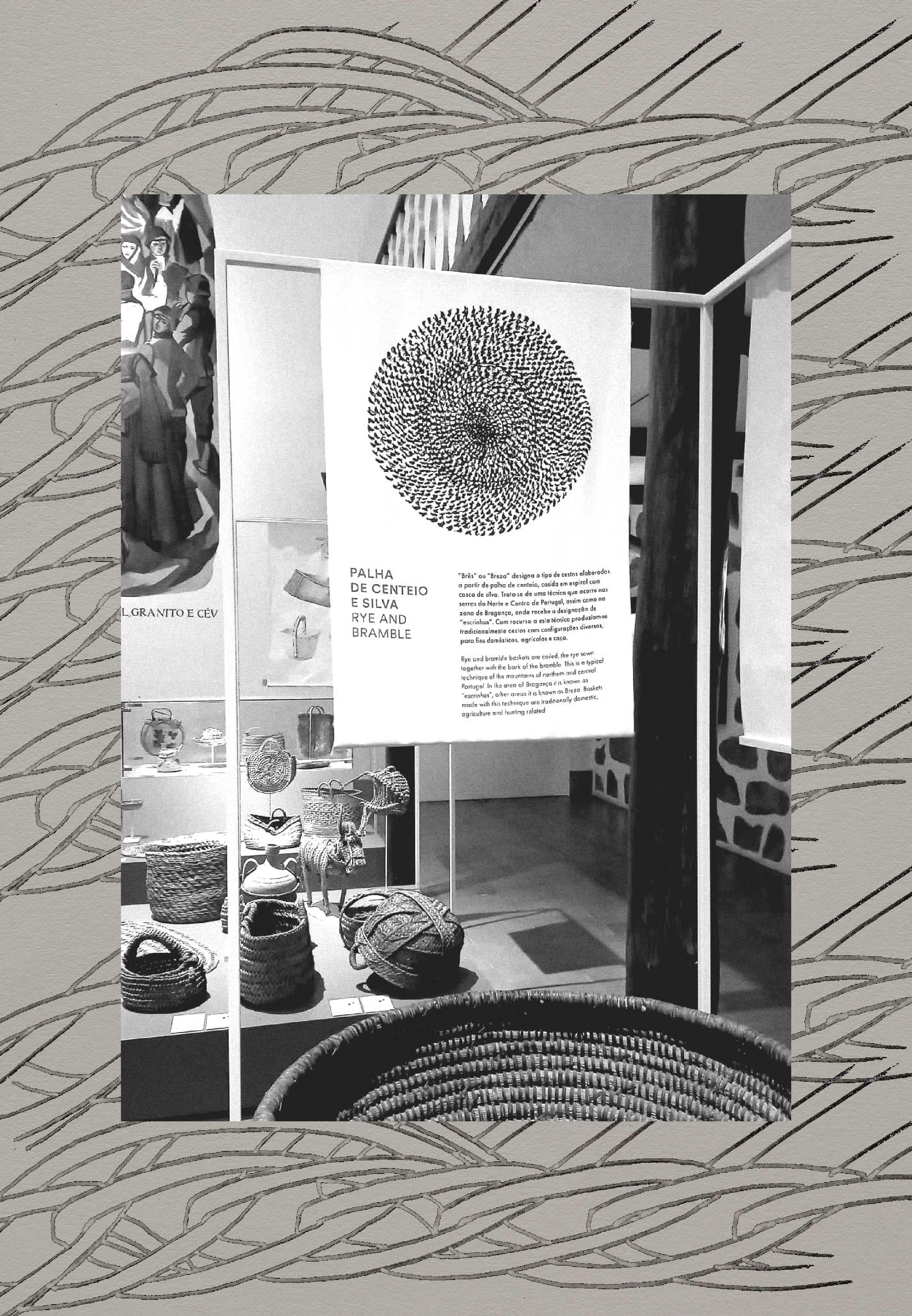 Magdalena Feikusová