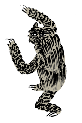 Magdalena Feikusová