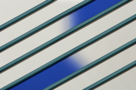 Magdalena Feikusová