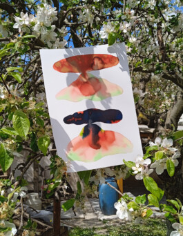 Magdalena Feikusová