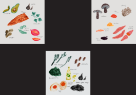 Magdalena Feikusová