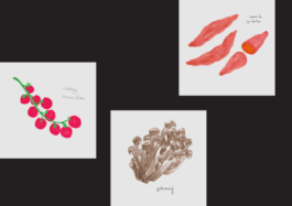 Magdalena Feikusová