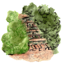 Magdalena Feikusová