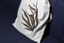 Magdalena Feikusová