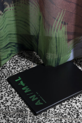 Magdalena Feikusová