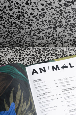 Magdalena Feikusová