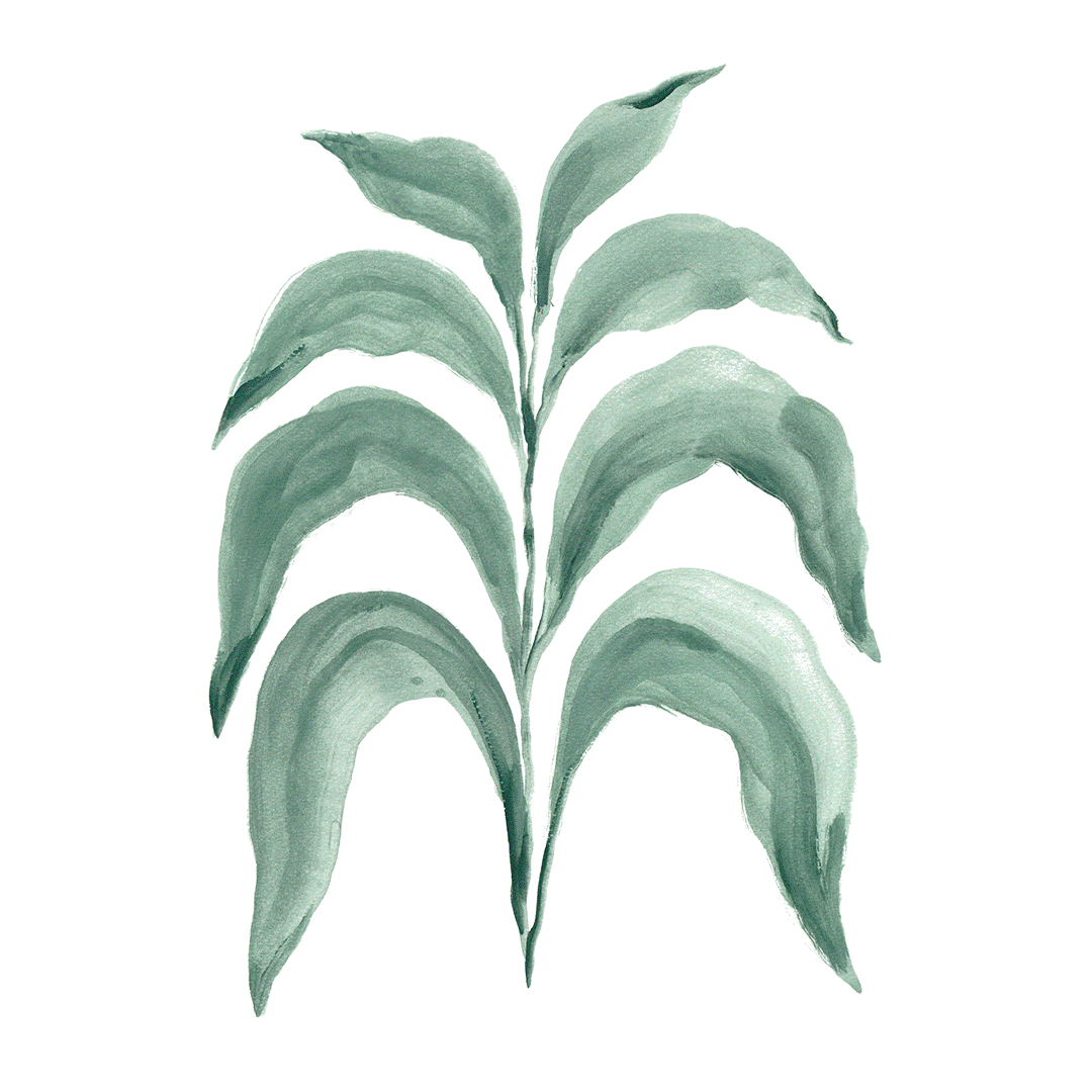 Magdalena Feikusová