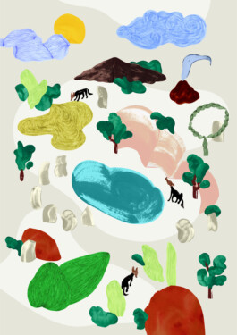 Magdalena Feikusová