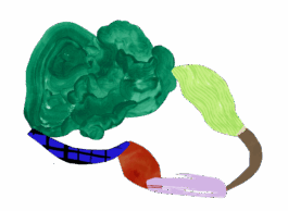 Magdalena Feikusová