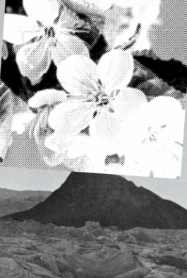 Magdalena Feikusová