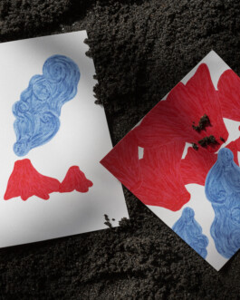 Magdalena Feikusová