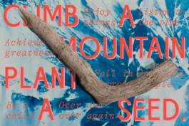 Magdalena Feikusová