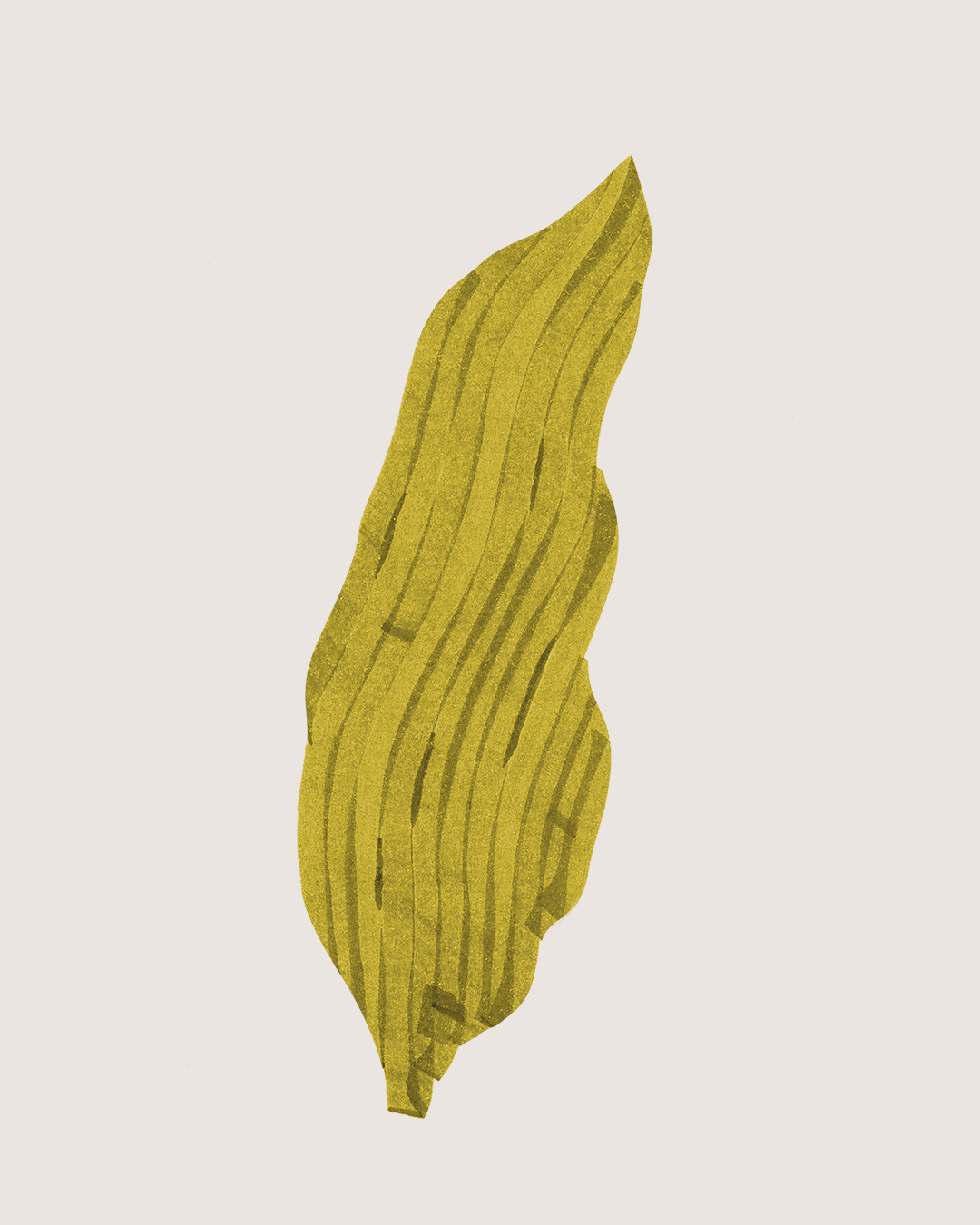 Magdalena Feikusová