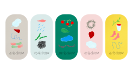 Magdalena Feikusová